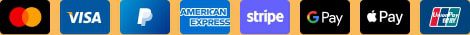 Logos des cartes Mastercard, Visa, American Express, PayPal, Stripe, Google Pay, Apple Pay, et 7-Eleven